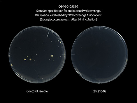 Staphylococcus aureus